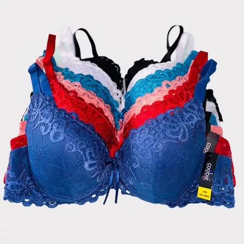BRAS0137-20250116205939.png
