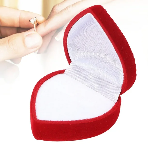 CAJA0494-20250129201525.png