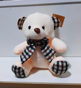 OSOP0379-20250127135155.jpg