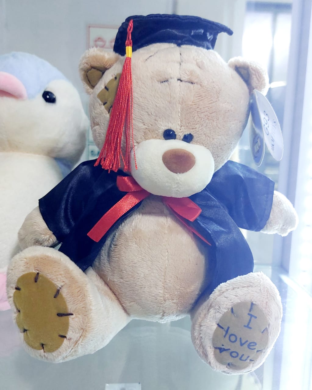 PELU0619-20250322200702.jpeg