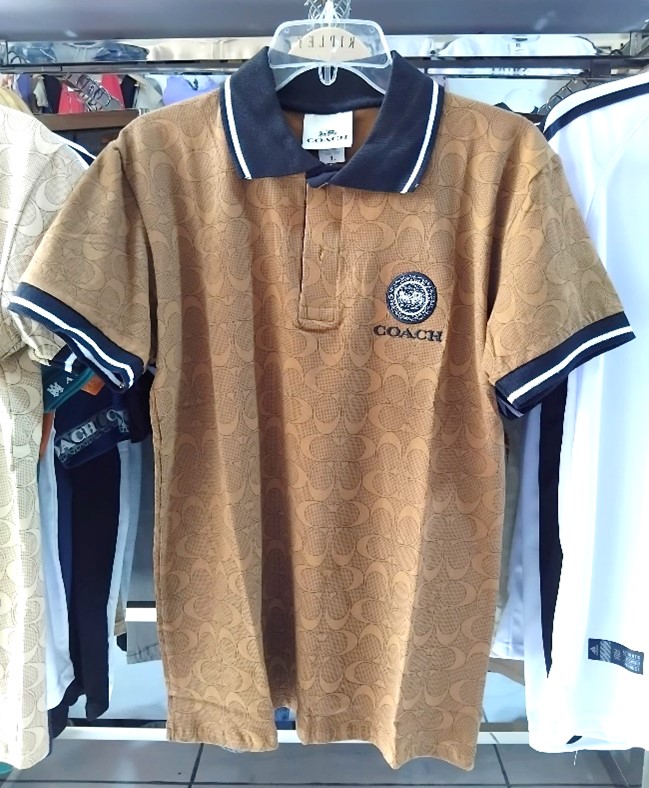 POLO0490-20250225155033.jpg